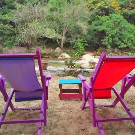 Casa Rio Cuale And River Retreat 巴亞爾塔港 外观 照片