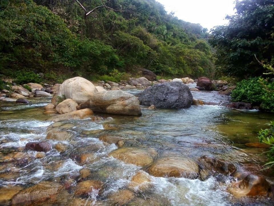 Casa Rio Cuale And River Retreat 巴亞爾塔港 外观 照片