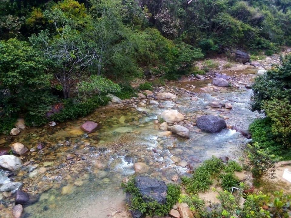 Casa Rio Cuale And River Retreat 巴亞爾塔港 外观 照片